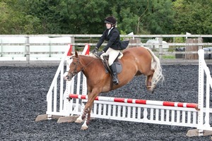 Class 4 - Fences 2'3 to 2'6